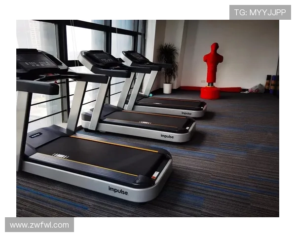 英派斯健身器材：最受欢迎的健身设备品牌解析