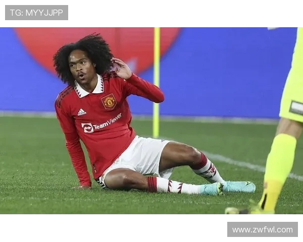 华裔球员在英超联赛的现状与未来潜力